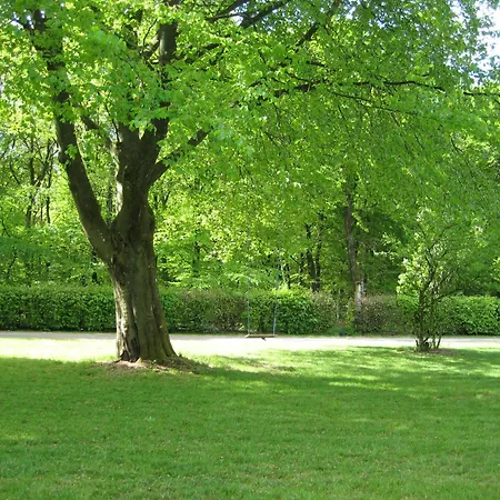 Gunneruphus Couette-café